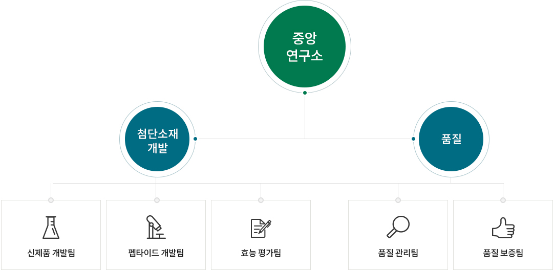 중앙연구소 조직도